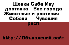 Щенки Сиба Ину доставка - Все города Животные и растения » Собаки   . Чувашия респ.